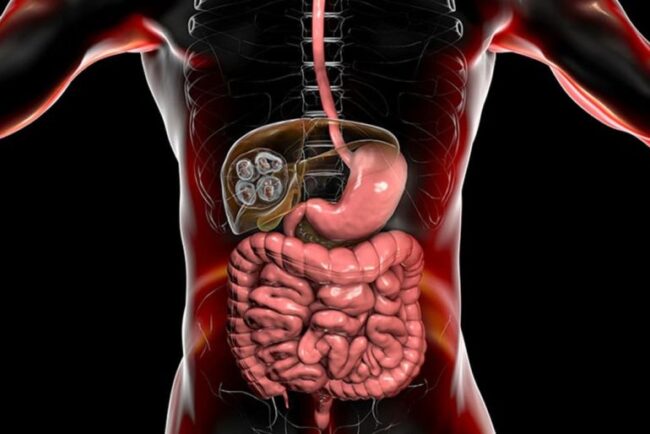 Hepatopancreatobiliary Surgery