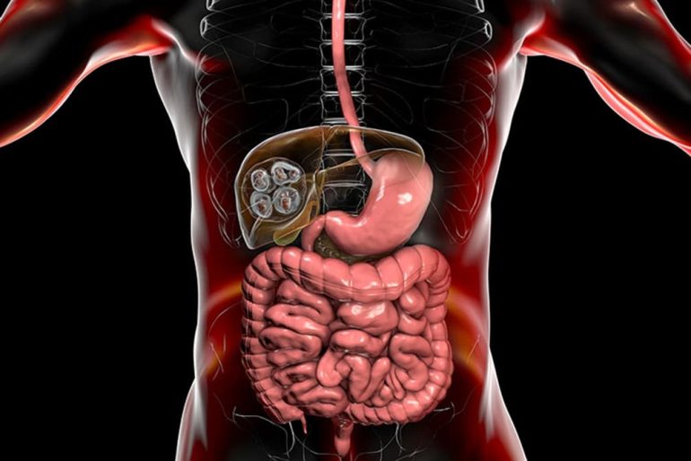 Hepatopancreatobiliary Surgery Hepatopancreatobiliary Surgery