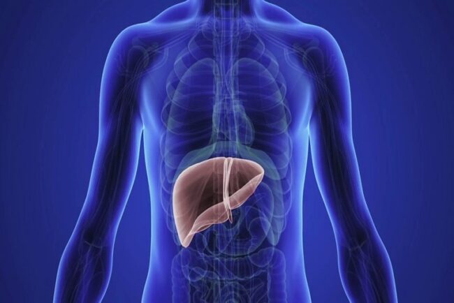 Liver Diseases and Cancer Surgery