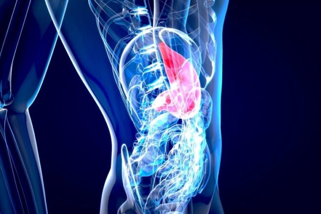 Surgery for Biliary Diseases and Cancers